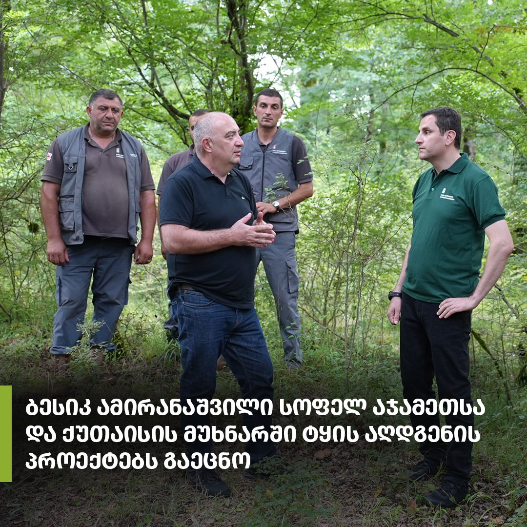 იმერეთის რეგიონში ტყის აღდგენის ღონისძიებები