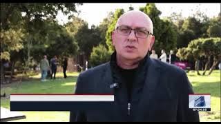 ბზის მოჭრაზე კონტროლი გამკაცრდა