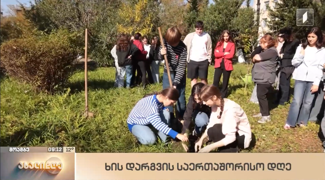 22 ოქტომბერი ხის დარგვის საერთაშორისო დღეა