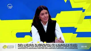 დავით დამენია გადაცემაში „იმედის დილა“ ტყის ხანძრების შესახებ