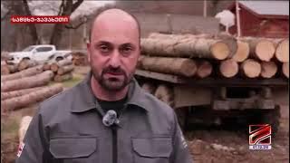 ბაკურიანი-წაღვერის სატყეო უბნის ტერიტორიაზე ხე-ტყის უკანონო მოპოვებისა და ტრანსპორტირების ფაქტი გამოვლინდა