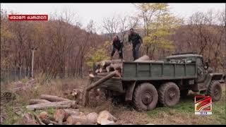 ხე-ტყის უკანონო მოპოვებისა და ტრანსპორტირების ფაქტი ბოლნისი-დმანისის სატყეო უბანზე