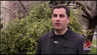 ბზის მოჭრაზე კონტროლი მკაცრდება