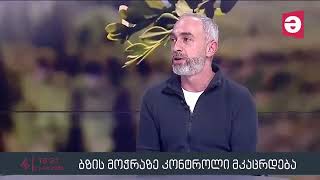 "ნუ მოჭრი ბზას!" - გიორგი მამადაშვილი "მაესტრო რეგიონებში"