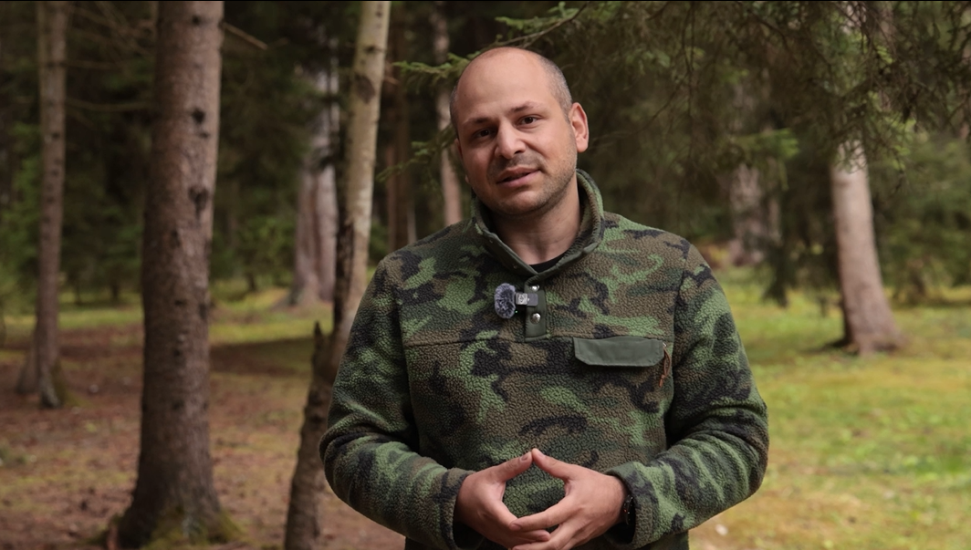 #სატყეორეფორმა2026
