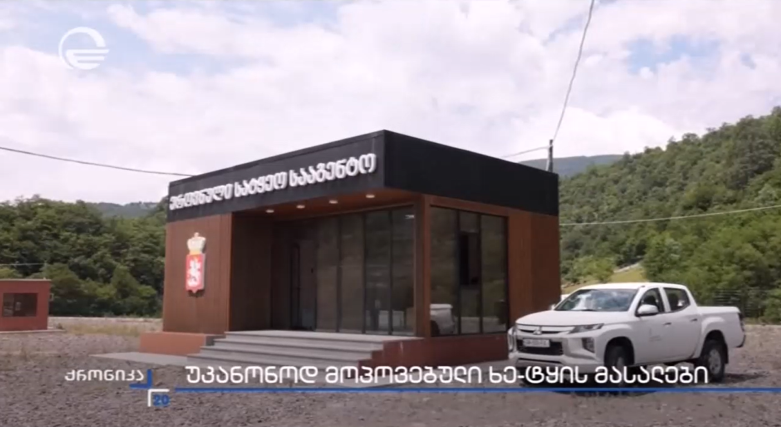 2026 წლის პირველ ნახევარში ხე-ტყის უკანონო მოპოვების 391 ფაქტი გამოვლინდა